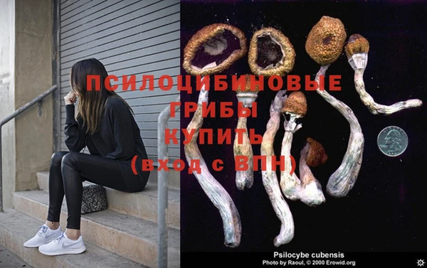 первитин Алексин