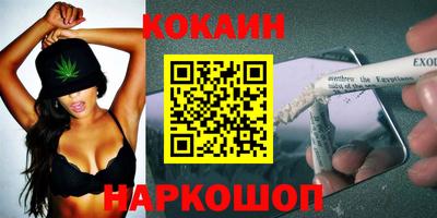 Альфа ПВП Малгобек