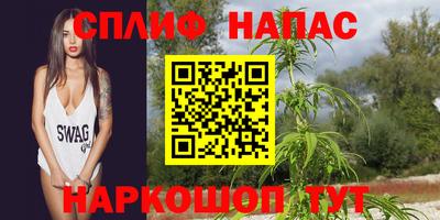 сатива Малоярославец