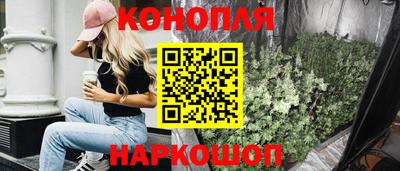 Альфа ПВП Малгобек