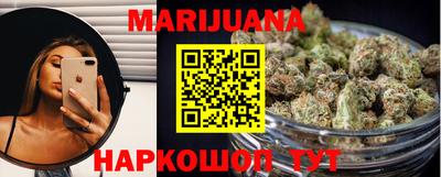Альфа ПВП Малгобек
