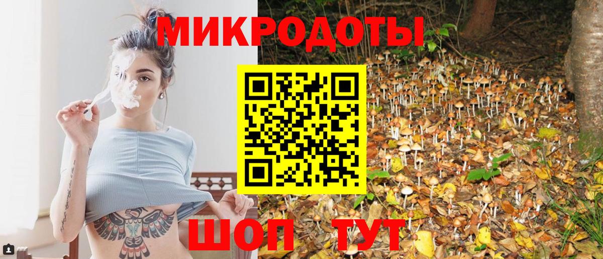 Псилоцибиновые грибы мицелий  Псилоцибиновые грибы Magic Shrooms  Октябрьский  даркнет сайт  Вход с VPN 
